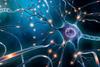  گامی جدید به سوی درک فعالیت نورون‌های مغز