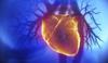 ساخت داربست دریچه قلب بر اساس الگوهای مولکولی توسط محقق ایرانی 