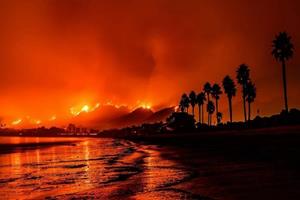 آتش‌سوزی جنگلی موجب رشد حیات دریایی می‌شود!