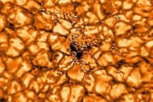 انتشار تصاویر جدیدی از ساختار میدان مغناطیسی خورشید