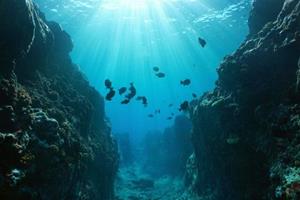  نجات اکوسیستم‌های دریایی با مدیریت حفاری در بستر دریاها