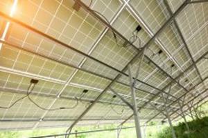 تولید هم‌زمان برق و مواد غذایی با صفحات خورشیدی رنگی!