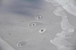 عکاسی از حفره های یخی در قطب شمال 
