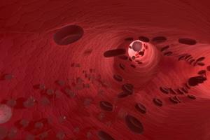  آنتی‌اکسیدان‌ها عروق خونی را 20 سال جوان می‌کنند