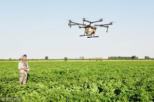 برنامه هوشمند شناسایی آفات محصولات کشاورزی