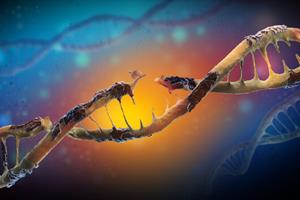 پیشگیری از سرطان پوست با ترمیم سلول‌های آسیب‌دیده DNA