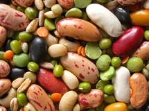 مصرف پروتئین‌های گیاهی احساس سیری می‌دهد 