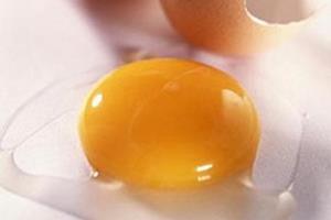 تولید نانوذره ترمیم‌کننده‌ ضایعات نخاعی از سفیده‌ تخم‌مرغ در کشور 