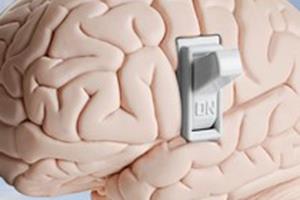 ساخت نمونه اولیه کارت‌های حافظه پرسرعت با الهام از مغز انسان 