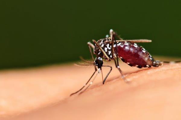 رونمایی از جدیدترین واکسن مالاریا در آفریقا