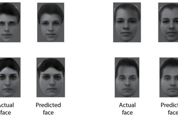 مغز چگونه چهره‌ها را از یکدیگر تشخیص می‌دهد
