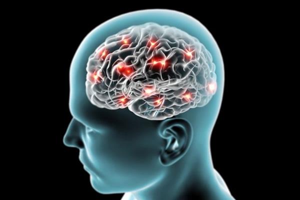 مغز بیماران مبتلا به آلزایمر باکتری بیشتری دارد