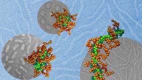 نانوحاملی برای وارد کردن ابزار اصلاح‌گر ژن به درون سلول 