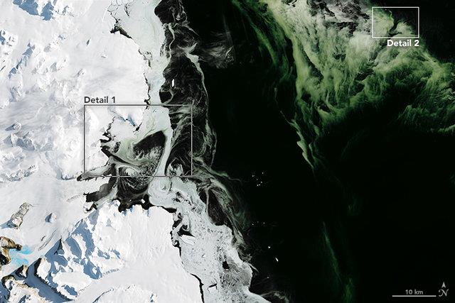 مشاهده یخ‌های سبز در قطب جنوب