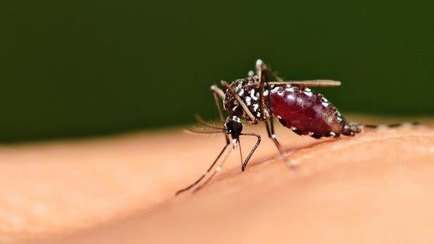 رونمایی از جدیدترین واکسن مالاریا در آفریقا
