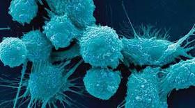 درمان سرطان با سلول‌های بنیادی قرضی 