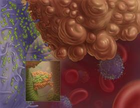 نانوکپسول‌هایی برای تشخیص و درمان سلول‌های تومور 