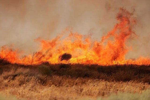 پیش‌بینی آتش‌سوزی جنگلی قبل از گسترش