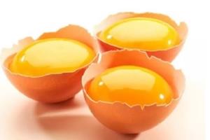 تولید تخم‌مرغ‌های حاوی اسیدفولیک با قابلیت جذب ۹۵ درصدی در بدن