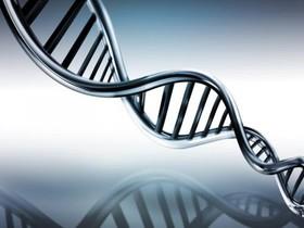 کشف کوچکترین ژنوم ضروری برای تداوم حیات 