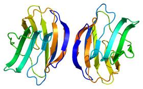 پیش‌بینی "سپسیس" با کمک یک پروتئین معمولی