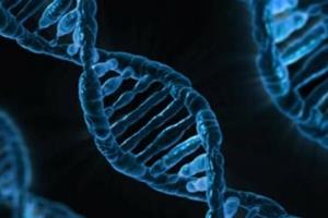 ژن درمانی برای کاهش ابتلا به سرطان