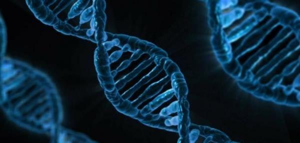 ژن درمانی برای کاهش ابتلا به سرطان