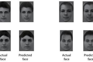 مغز چگونه چهره‌ها را از یکدیگر تشخیص می‌دهد