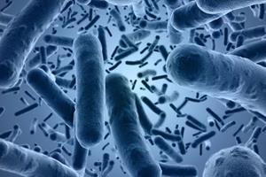  جلوگیری از آموزش مقاومت آنتی‌بیوتیکی در میان باکتری‌ها
