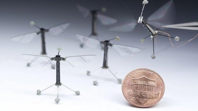 ساخت ربات‌هایی که مثل حشرات رفتار می‌کنند 