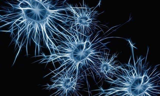  درمان بیماری نورون حرکتی با تغییر اندازه نورون‌ها