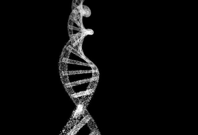 کشف ژن جدیدی که سطح کلسترول را تنظیم می‌کند