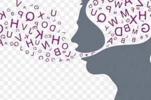 آیا بین یادگیری زبان جدید و پایداری مغز رابطه ای هست ؟