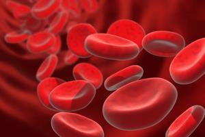 کنترل سطح آهن خون می‌تواند به افزایش طول عمر کمک کند