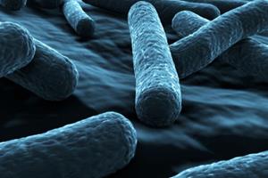 توسعه باکتری‌هایی که حال انسان را خوب می‌کنند!