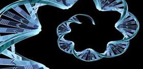 فناوری جدید برای تفسیر ژن انسان 