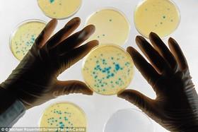سوئیچ ژنتیکی مرگبار برای میکروب‌های بیماری‌زا 