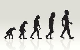 تغییر ژنی که باعث ایستاده راه رفتن انسان شد 