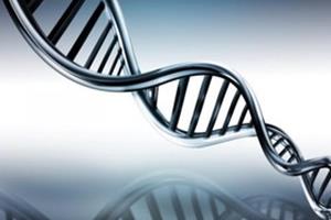 کشف کوچکترین ژنوم ضروری برای تداوم حیات 