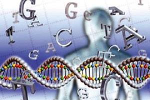 کشف ژن جدید مسؤول سکته مغزی و زوال عقل 