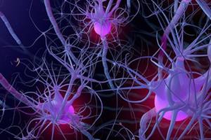 شناسایی نوع آلزایمر بر اساس توده پروتئینی مغز