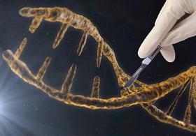 اصلاح ژنتیکی جنین انسان برای دومین بار 