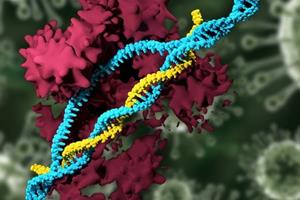  بهترین روش ویرایش ژن با نانوذرات غیر ویروسی