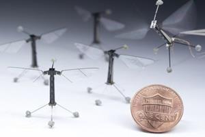 ساخت ربات‌هایی که مثل حشرات رفتار می‌کنند 