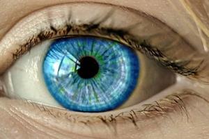 چشم‌های آبی یا سبز سلول رنگی ندارند