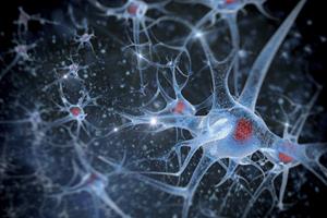 نزدیک‌تر شدن هوش مصنوعی به مغز با "سیناپس مصنوعی"