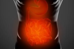  باکتری‌های روده کوچک چه نقشی در چاقی دارند؟