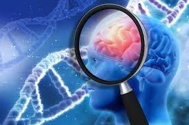  شناسایی یک تغییر ژنتیکی موثر بر بیماری مغزی