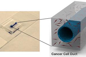  توسعه یک دستگاه برای مطالعه سرطان لوزالمعده