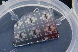 ترانزیستوری که در یادگیری از مغز تقلید می‌کند